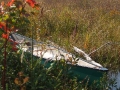DSCF1549.JPG
