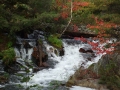 DSCF1599.JPG