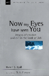 Now My Eyes Have Seen You