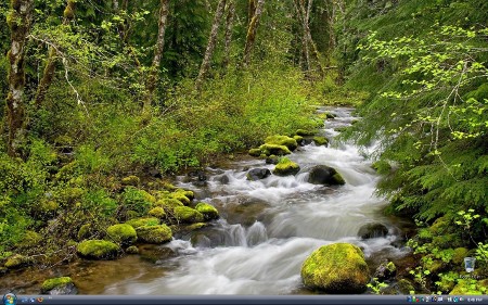 My Desktop