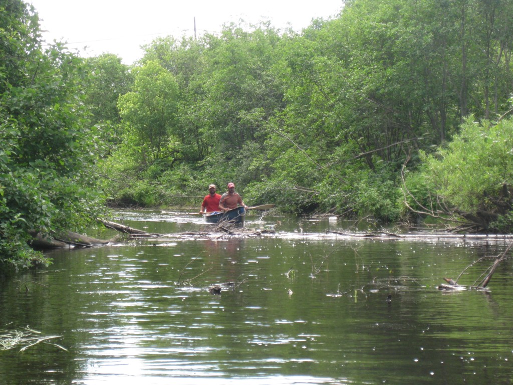 Tidewater Provincial Park